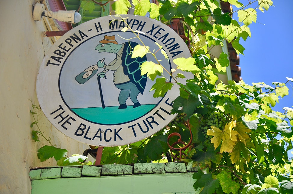 Sign for the Black Turtle pub surrounded by ivy