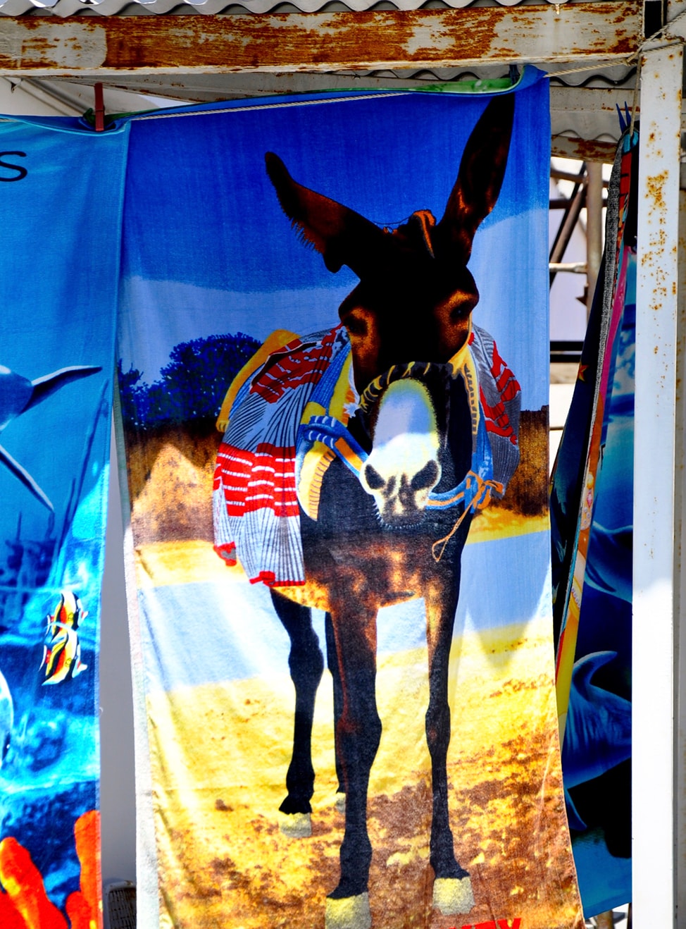 Brightly Colored beach towel with a donkey