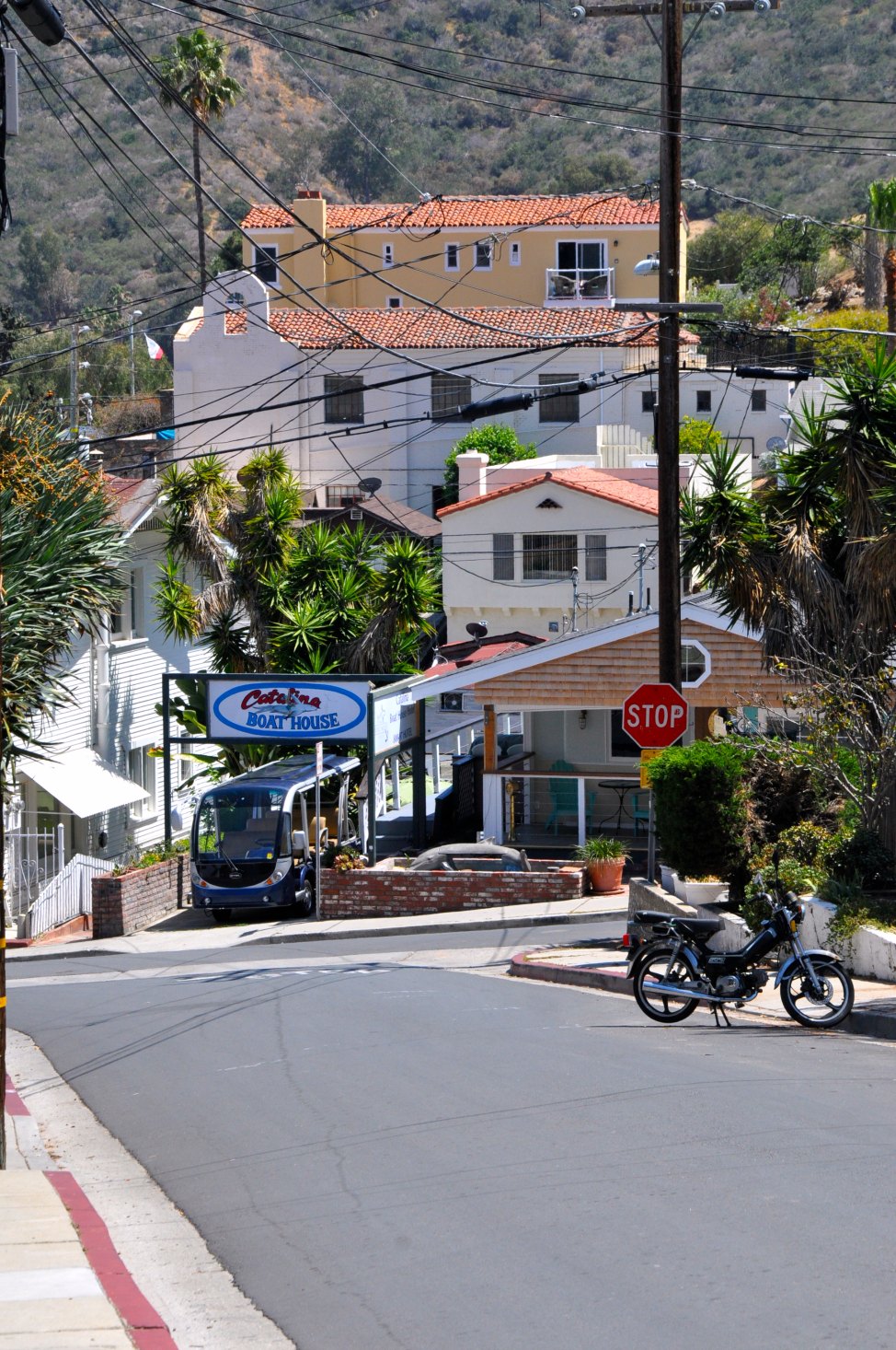 Hilly_Streets_Of_Catalina