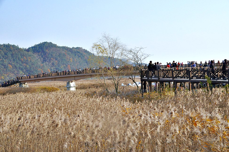 post_2016_review_suncheon_bay