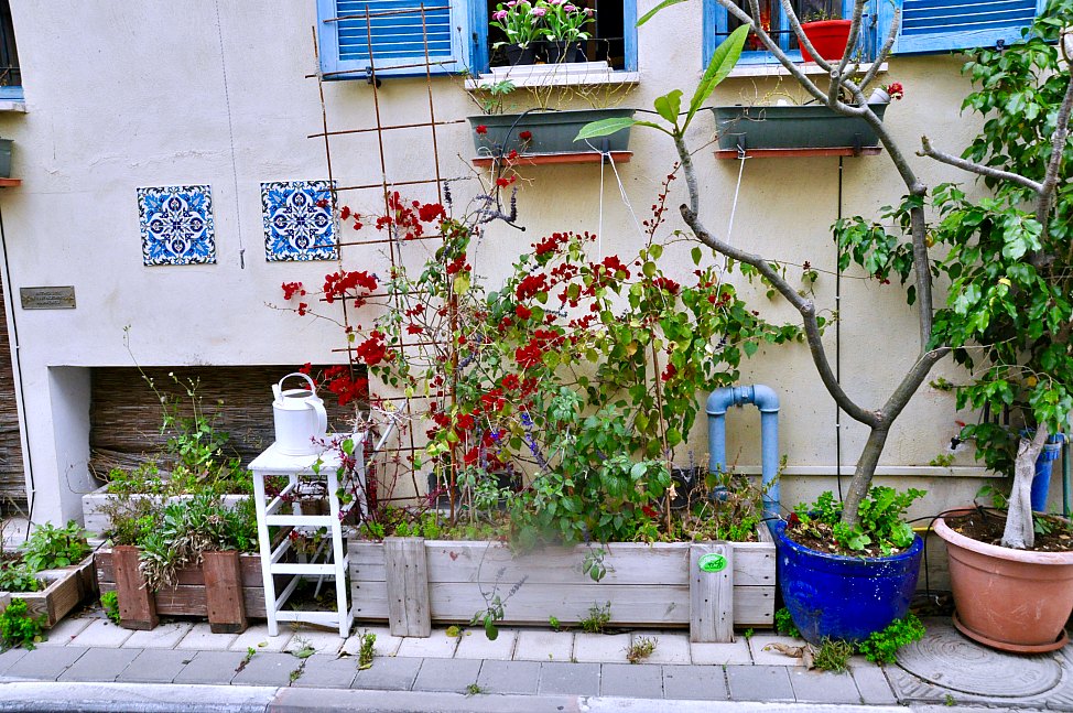 Neve_Tzedek_Front_Garden