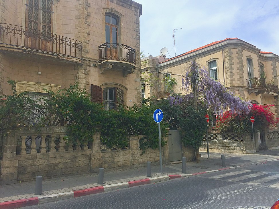 Neve_Tzedek_Hanging_Flowers