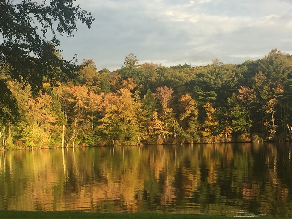 Golden Hour on the Lake