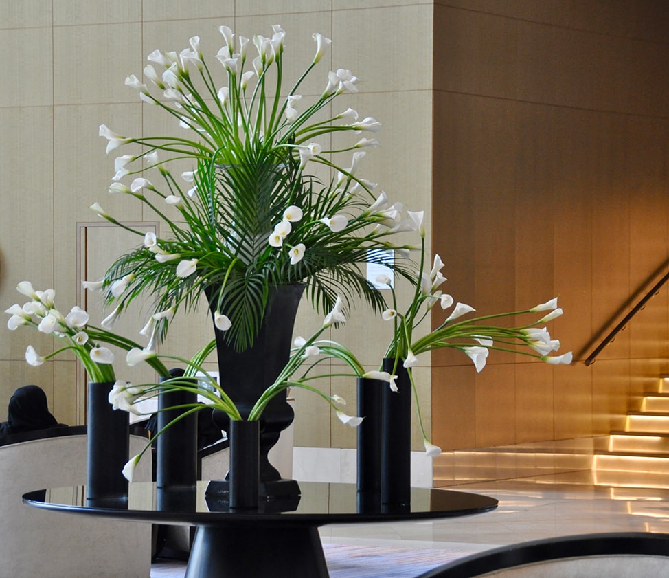 Large black vases hold huge bouquets of white Cala lilies. 