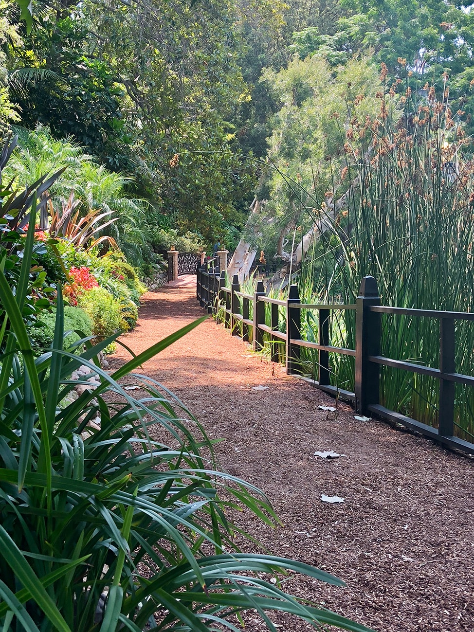 If you visit the Lake Shrine in Malibu at the right time, you can get this beautiful path all to yourself.