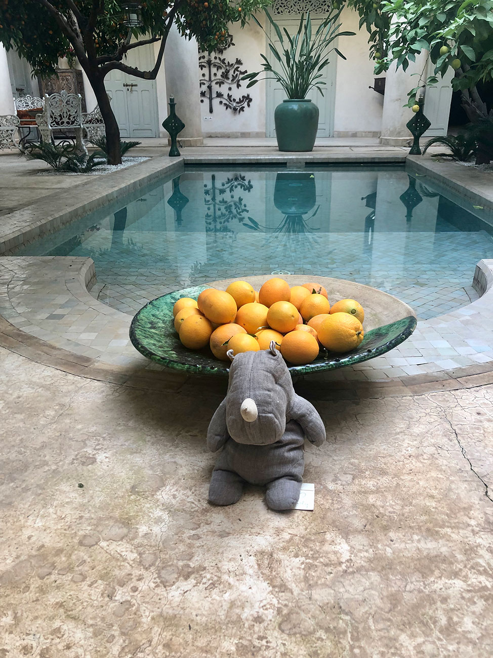A bowl of fresh oranges sits at the head of the riad's blue tiled pool.